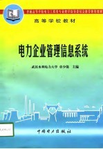 电力企业管理信息系统