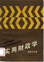 实用财政学
