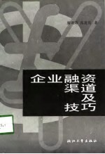 企业融资渠道及技巧