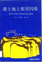 黄土地上银星闪烁 改革中的吕梁农村信用社
