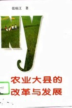 农业大县的改革与发展