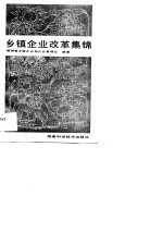 乡镇企业改革集锦