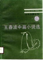王春波中篇小说选