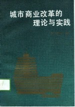 城市商业改革的理论与实践