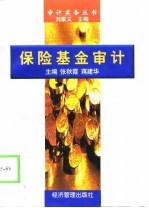 保险基金审计