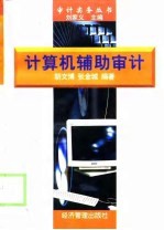 计算机辅助审计