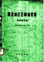 西北地区区域地层表