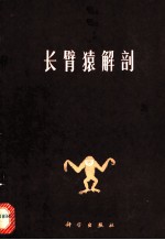 长臂猿解剖