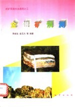 金银矿预测