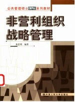 非营利组织战略管理