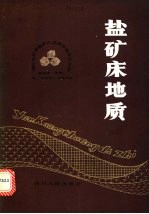 盐矿床地质