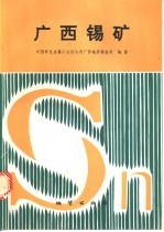 广西锡矿
