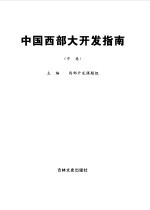 中国西部大开发指南 中
