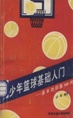 青少年篮球基础入门 基本功训练340例