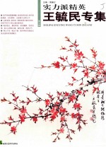 实力派精英 王毓民专集