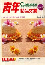 青年精品文摘 白金版 年少轻狂不畏无知而为坚强