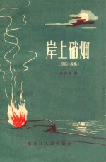 岸上硝烟 短篇小说集