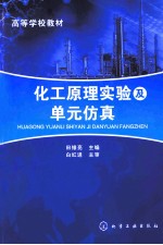 化工原理实验及单元仿真