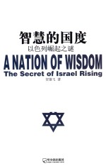 智慧的国度 以色列崛起之谜
