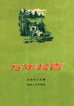 万年长青