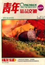 青年精品文摘 超值版 追忆似水年华