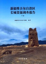 新疆维吾尔自治区长城资源调查报告 下