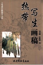 热带写生画稿