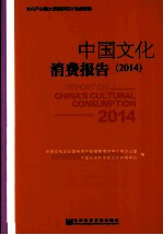 中国文化消费报告 2014