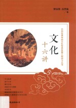 中华优秀传统文化传承发展工程学习丛书 文化十六讲