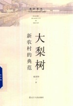 大梨树 新农村的典范