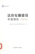 法治安徽建设年度报告 2015