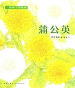 一粒种子的旅程 蒲公英