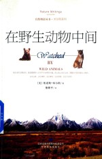 在野生动物中间