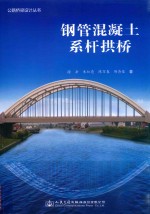 钢管混凝土系杆拱桥