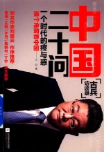 中国二十问