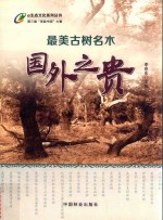 最美古树名木 国外之贵