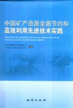 中国矿产资源全面节约和高效利用先进技术实践