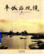 羊城后视镜 8