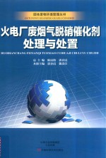固体废物环境管理丛书 火电厂废烟气脱硝催化剂处理与处置