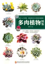 多肉植物图鉴 新手入门手册,轻松辨别850种多肉植物