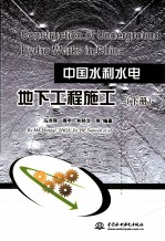 中国水利水电地下工程施工 下