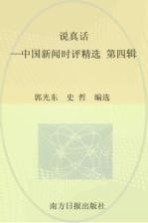 说真话 中国新闻时评精选 第4辑