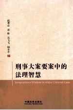 刑事大案要案中的法理智慧