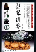 翡翠图鉴 翡翠鉴赏与选购