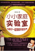小小家庭实验室 与孩子一起探索未知世界