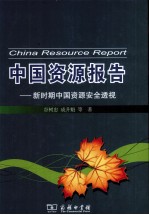 新时期中国资源安全透视