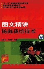 图文精讲杨梅栽培技术