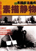 素描技法速成 素描静物