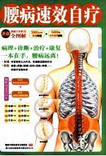 腰病速效自疗