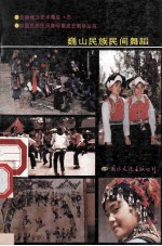 巍山民族民间舞蹈